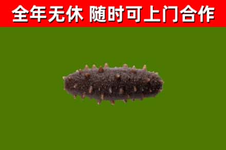 汤旺县烟酒回收干海参.jpg